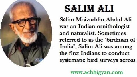 सालिम अली की जीवनी | Salim Ali Biography In Hindi