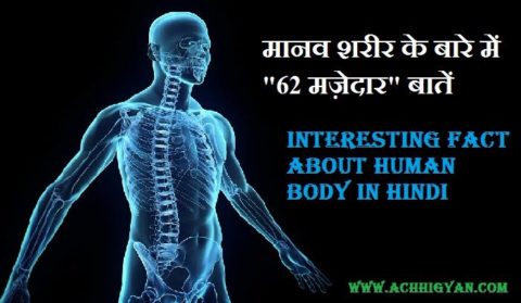 मानव शरीर के बारे में "62 मज़ेदार" बातें | Interesting Fact About Human Body In Hindi