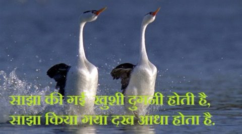 जीवन पर 10 महत्वपूर्ण उद्धरण | Quotes on life in hindi