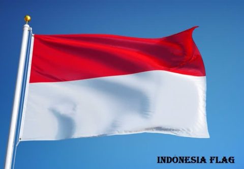 इंडोनेशिया देश का इतिहास और जानकारी | Indonesia History In Hindi