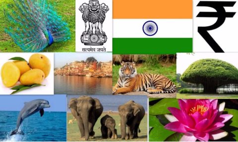 भारत के राष्‍ट्रीय चिन्ह (प्रतीक) | National Symbols Of India In Hindi