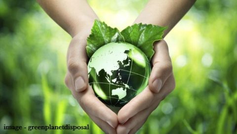 पर्यावरण (वातावरण) पर निबंध हिंदी में | Essay on Environment in Hindi
