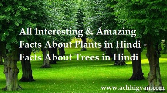 पेड़-पौधे के बारे में 35 रोचक तथ्य | Amazing Facts About Plants in Hindi