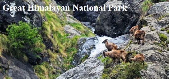 ग्रेट हिमालयन नेशनल पार्क की जानकारी | Great Himalayan National Park