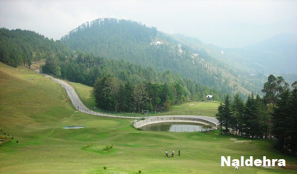 नालदेहरा की जानकारी, पर्यटक स्थल | Naldehra Information in Hindi