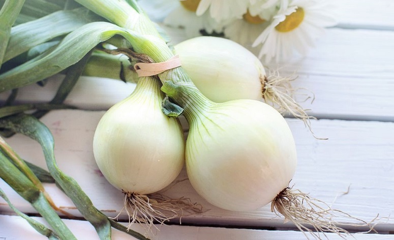 White Onion Benefits